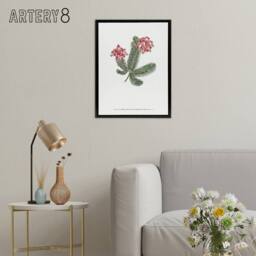 "Artery8 Francis Sansom Erica Glauca Elegans Flower Bloom Framed Canvas Art in White - Size: W12"" x H16""" - thumbnail 3