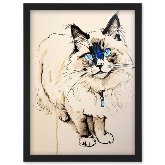 Artery8 Blue Point Ragdoll Cat Sketch Drawing Portrait Artwork Framed Wall Art Print A4 in Black - image 1