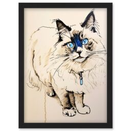 Artery8 Blue Point Ragdoll Cat Sketch Drawing Portrait Artwork Framed Wall Art Print A4 in Black - thumbnail 1
