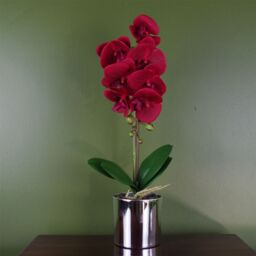 Leaf Artificial 46cm Orchid Red with Silver Pot