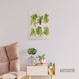 "Artery8 Peas Kitchen Vintage Botanical Ernst Benary Canvas Wall Art Print in White - Size: W12"" x H16""" - thumbnail 3