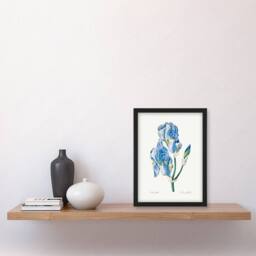 Artery8 Pierre J Redoute Framed Wall Art Print Iris Pallida Vintage Botanical in White - Size: A4 - thumbnail 2