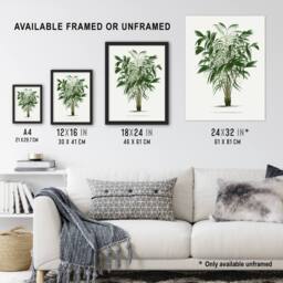 Artery8 Astrocaryum Murumuru Palm Tree Kerchove Framed Wall Art Print in White - Size: A4 - thumbnail 3