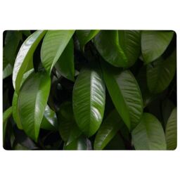 Benjamin Tate Design Closeup Of Beautiful Glossy Green Leaves Designer Rug in Natural - Size: Large - thumbnail 1