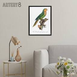 "Artery8 The Yellow Headed Amazon Parrot Levaillant Framed Canvas Wall Art in White - Size: W12"" x H16""" - thumbnail 3