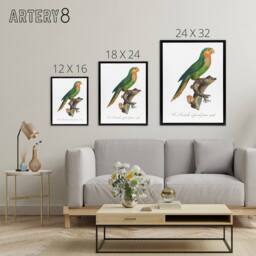"Artery8 The Yellow Headed Amazon Parrot Levaillant Framed Canvas Wall Art in White - Size: W12"" x H16""" - thumbnail 4