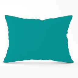 Warren Reed - Designer Teal Blue Cushions - Size: 45 cm x 45 cm - thumbnail 1