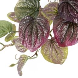 Leaf 35cm Artificial Trailing Purple Potted Pothos Plant - thumbnail 3