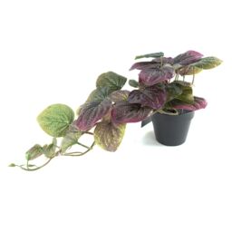 Leaf 35cm Artificial Trailing Purple Potted Pothos Plant