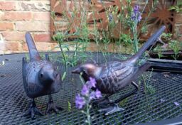 Inspirational Gifting Pair of Birds Sculpture Garden Ornament in Bronze - thumbnail 4