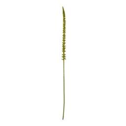 Lemon Pavilion Furniture and Decor Eremurus (Single Stem Flower) - Plastic - L3 x W3 x H88 cm - Green