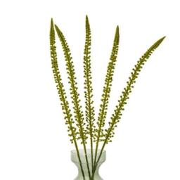 Lemon Pavilion Furniture and Decor Eremurus (Single Stem Flower) - Plastic - L3 x W3 x H88 cm - Green - thumbnail 3