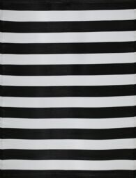 THE RUGS Reversible Weatherproof Outdoor Black & White Rug Rainbow 1030 - Size: 180 cm x 270 cm - thumbnail 2