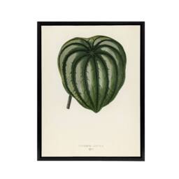 "Artery8 Vintage Botanical Pepper Elder Leaf Fawcett Black Framed Canvas Art in Beige - Size: W12"" x H16""" - thumbnail 1