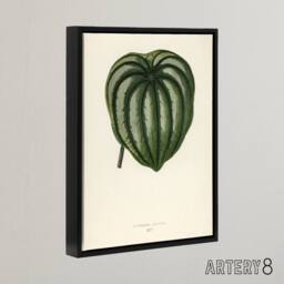 "Artery8 Vintage Botanical Pepper Elder Leaf Fawcett Black Framed Canvas Art in Beige - Size: W12"" x H16""" - thumbnail 2
