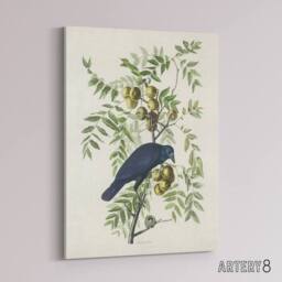 "Artery8 American Crow on Walnut Tree Audubon Nature Canvas Wall Art in White - Size: W18"" x H24""" - thumbnail 2