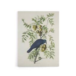 "Artery8 American Crow on Walnut Tree Audubon Nature Canvas Wall Art in White - Size: W18"" x H24""" - thumbnail 1