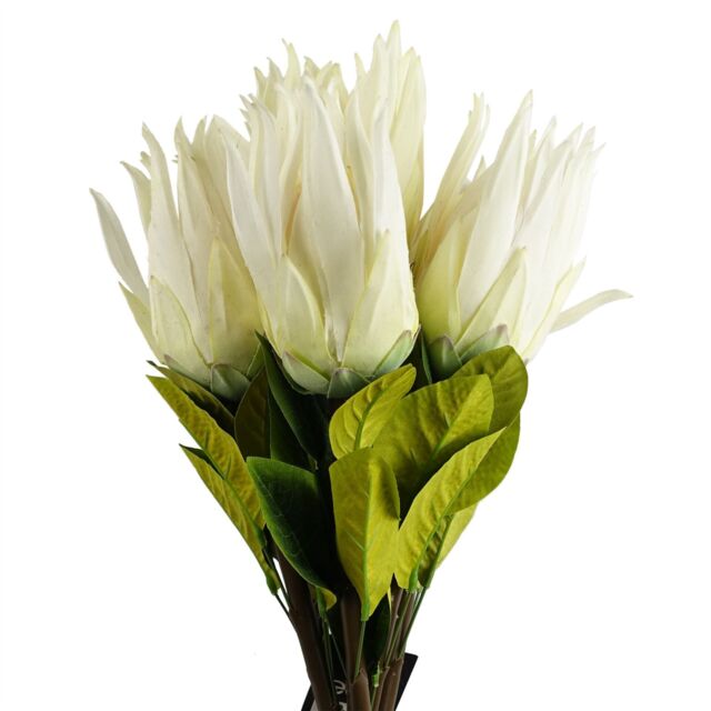 Leaf Pack of 6 x 65cm Protea Sugarbush Flower Stem - White - Size: 6 x 65 cm - image 1