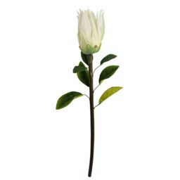 Leaf Pack of 6 x 65cm Protea Sugarbush Flower Stem - White - Size: 6 x 65 cm - thumbnail 2