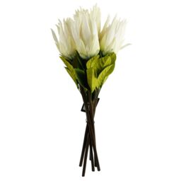 Leaf Pack of 6 x 65cm Protea Sugarbush Flower Stem - White - Size: 6 x 65 cm - thumbnail 4