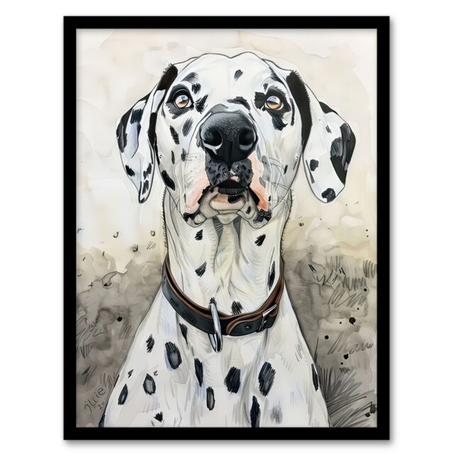 "Artery8 Sweet Gazing Dalmatian Dog Lover Watercolour Framed Wall Art in White - Size: W12"" x H16""" - image 1