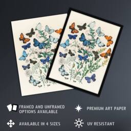 Artery8 Blue & Orange Butterflies Kirby Vintage Framed Wall Art Print in White - Size: A4 - thumbnail 2
