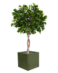 Dibor Large Sage Green Ribbed Finish Fibre Clay Indoor Outdoor Garden Plant Pots Houseplant Flower Planter H37 x W37cm - thumbnail 2