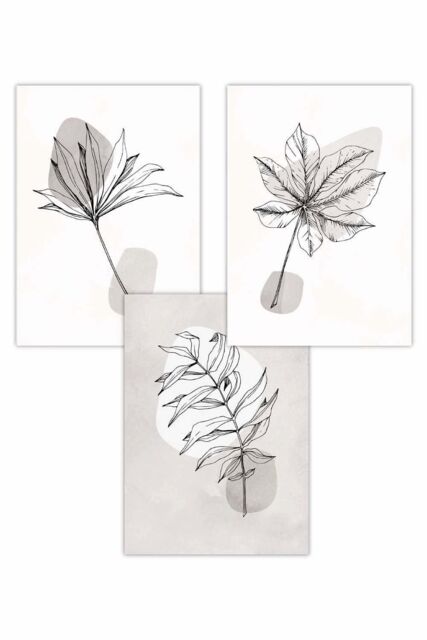 ARTZE Set of 3 Grey & Beige Botanical Sketch Leaves Art Posters in Light Beige - Size: W50 cm x H70 cm - image 1
