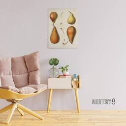 "Artery8 Fresh Pears Halved Fruit Berghuis Vintage Canvas Wall Art in White - Size: W18"" x H24""" - thumbnail 3