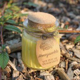 KDMD Honeysuckle Soy Pot of Fragrance Candles - (Set of 2) in Yellow - thumbnail 3