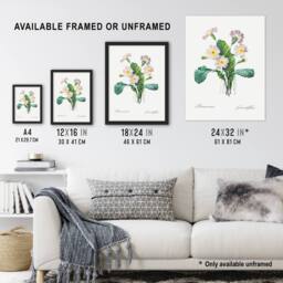 "Artery8 Primrose Floral Illustration Redoute Vintage Wall Art Print Poster in White - Size: W12"" x H16""" - thumbnail 3