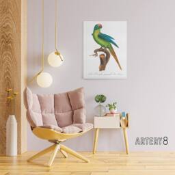 "Artery8 The Peach Fronted Parakeet Levaillant Canvas Wall Art Print in White - Size: W12"" x H16""" - thumbnail 3