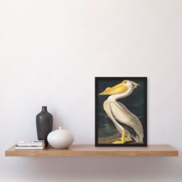 Artery8 John James Audubon Style Pelican Bird Vintage Detailed Illustration Artwork Framed Wall Art Print A4 in Black - thumbnail 2