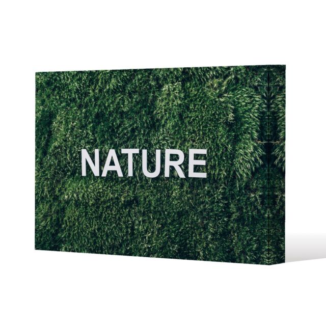 Benjamin Tate Design Wellness Nature (Canvas Print) / 46 x 31 x 4cm in Natural - Size: 46 x 31 x 4 cm - image 1