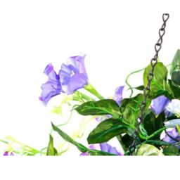 Primrose Pair of Artificial Duranta Purple Flowers Hanging Basket with Solar Light 26cm - thumbnail 4