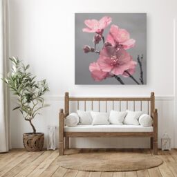 "Warren Reed - Designer Delicate Pink Flowers Canvas - Size: W30"" x H30""" - thumbnail 1