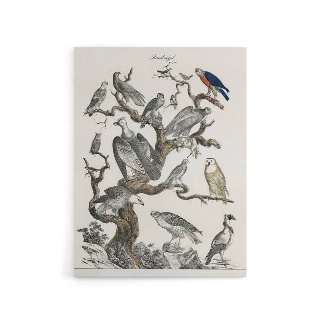 "Artery8 Birds Eagle Hawk Owl on Tree Vintage Nature Canvas Wall Art in White - Size: W18"" x H24""" - image 1