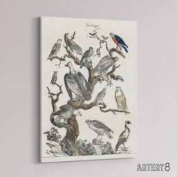 "Artery8 Birds Eagle Hawk Owl on Tree Vintage Nature Canvas Wall Art in White - Size: W18"" x H24""" - thumbnail 2