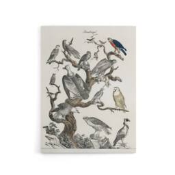 "Artery8 Birds Eagle Hawk Owl on Tree Vintage Nature Canvas Wall Art in White - Size: W18"" x H24""" - thumbnail 1