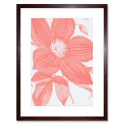 "Artery8 Wall Art Print Living Coral Clematis Flower Art Black Framed 9x7 inch in Brown - Size: W7"" x H9""" - thumbnail 1