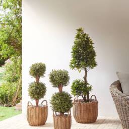 Wyld and Coco Set of 3 Brown PE Rattan Round Plant Baskets with Handles - thumbnail 1