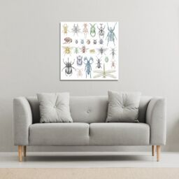 Benjamin Tate Design many species in vintage old hand drawn style (Canvas Print) / 61 x 61 x 4cm in Natural - Size: 61 x 61 x 4 cm - thumbnail 1