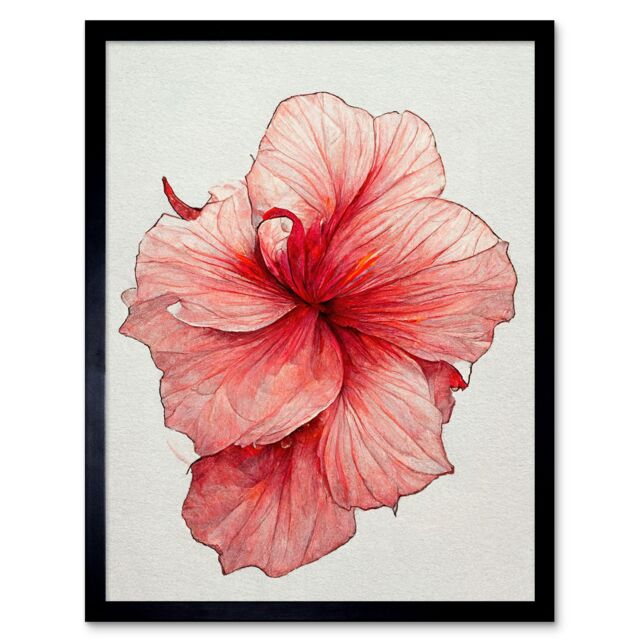 "Artery8 Wall Art Print Pink Hibiscus Flower Floral Pink Art Framed in Black - Size: W12"" x H16""" - image 1