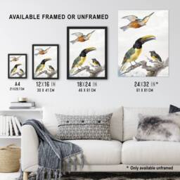 Artery8 Kingfisher Toucan Bird & a Sparrow Schouman Framed Wall Art Print in White - Size: A4 - thumbnail 3