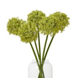 Lemon Pavilion Furniture and Decor Medium Allium (Single Stem Flower), Plastic, L16 x W16 x H80 cm, Green - thumbnail 3