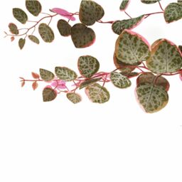 Leaf 90cm Artificial Potted Trailing Hanging Pink Plant Realistic - String of Hearts in Green - thumbnail 4