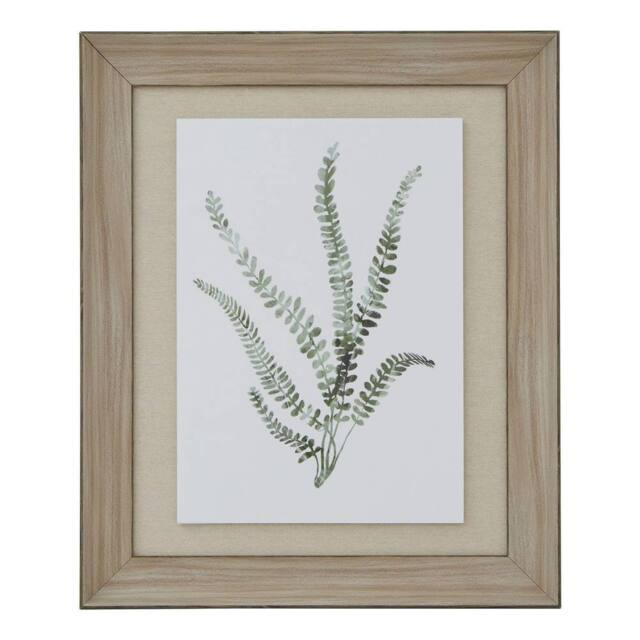 Hill Interiors Delicate Fern Watercolour Wood Framed Art Print in Dark Brown - image 1