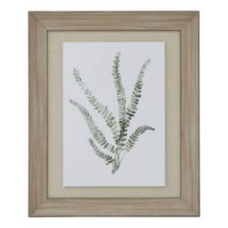 Hill Interiors Delicate Fern Watercolour Wood Framed Art Print in Dark Brown - thumbnail 1
