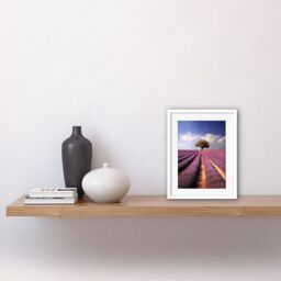 "Artery8 Wall Art Print Lavender Field Provence France Photograph Lone Tree Beautiful Flower Purple Blooms Artwork Framed 9X7 Inch - Size: W7"" x H9""" - thumbnail 2