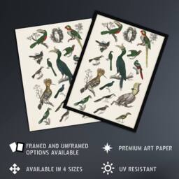 "Artery8 Various Birds Illustration Goldsmith Vintage Wall Art Print Poster in White - Size: W12"" x H16""" - thumbnail 2